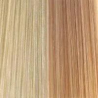 504 Anemone: Synthetic Wig by WIGPRO