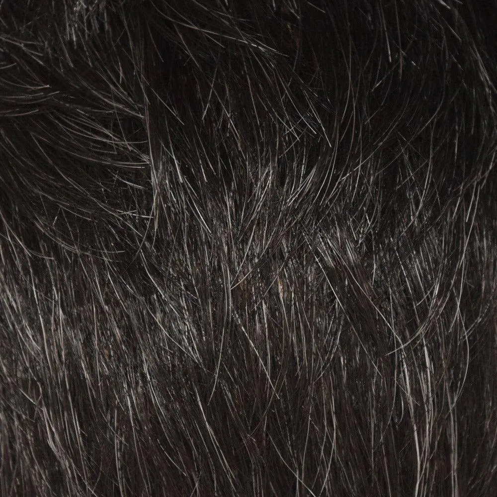 540 Naivete by WigPro: Synthetic Wig | Clearance Sale