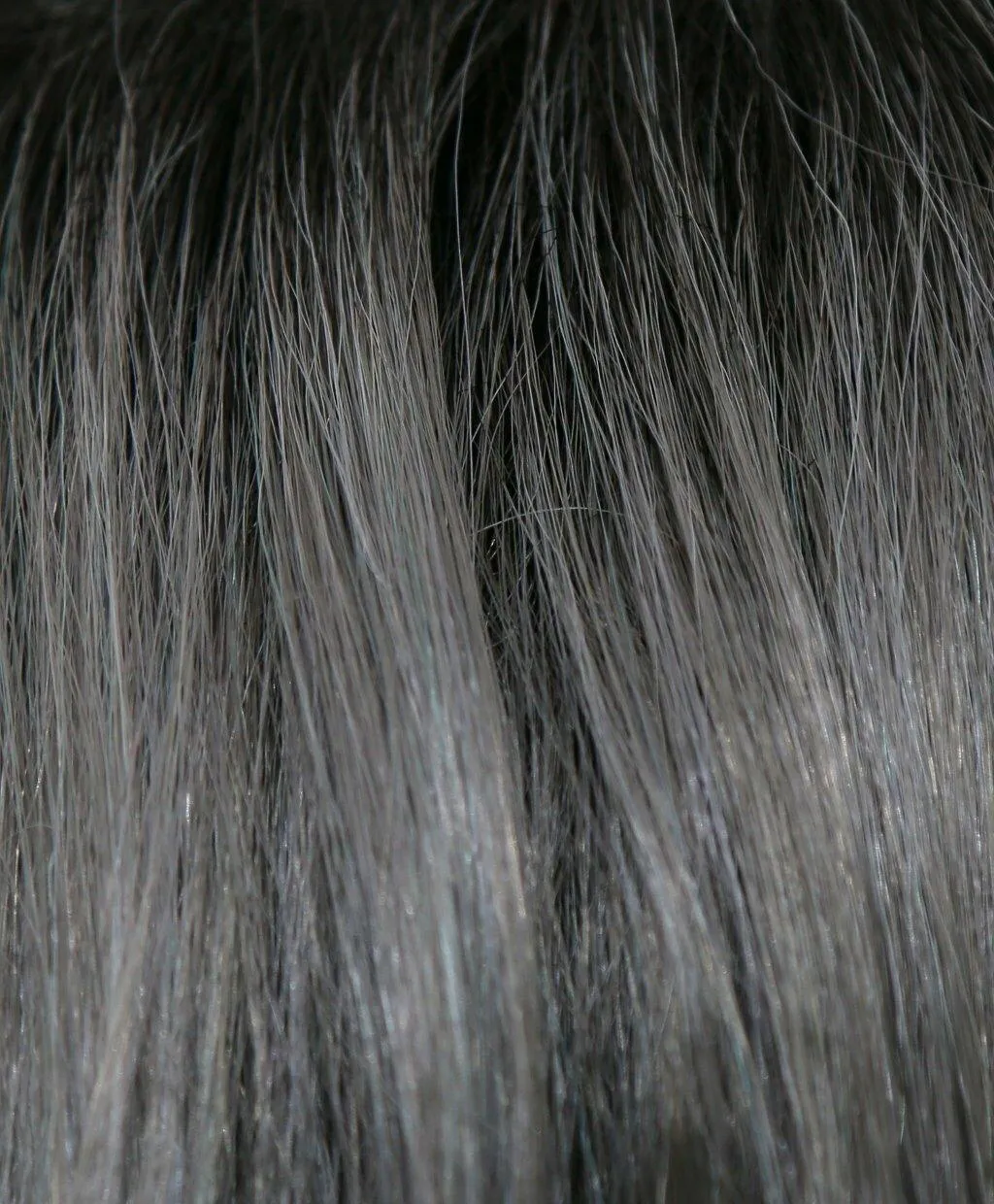 Adeline Wig by Rene of Paris | Synthetic (Traditional Cap)
