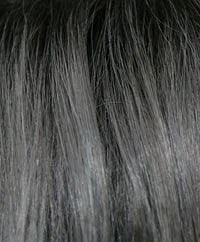 Alexi Wig by Noriko | Synthetic (Lace Front Traditional Cap)