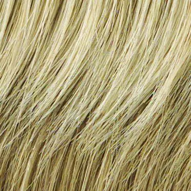Allure Wig by Hairdo | Heat Friendly Synthetic (Traditional Cap) | Clearance Sale Open Box (Unworn - Like New)