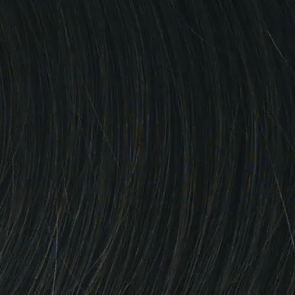 Allure Wig by Hairdo | Heat Friendly Synthetic (Traditional Cap)