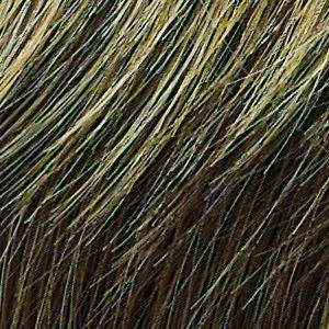 Allure Wig by Hairdo | Heat Friendly Synthetic (Traditional Cap)