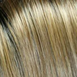 Allure Wig by Jon Renau | Synthetic (Traditional Cap)