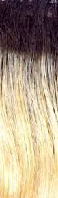 Allure Wig by Jon Renau | Synthetic (Traditional Cap)
