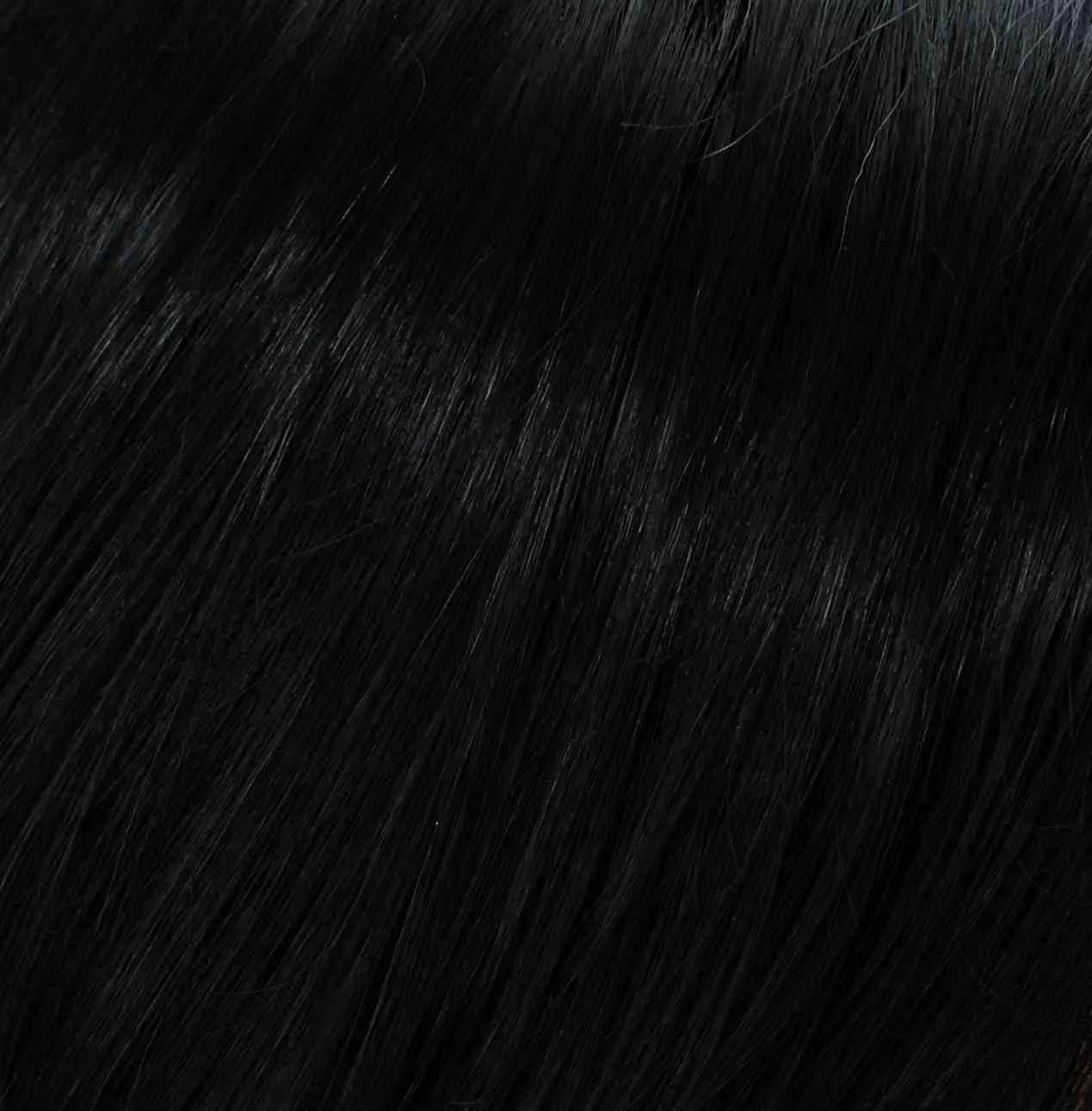 Ava Wig by Tony of Beverly | Synthetic Wig (Traditional Cap)