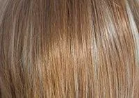 Bailey Wig by Rene of Paris | Synthetic (Traditional Cap)