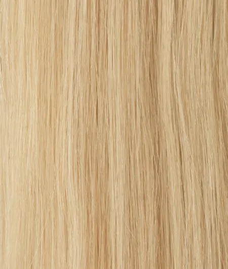 Black Label Contessa Wig by Raquel Welch | 100% Hand Tied Human Hair Lace Front (Mono)