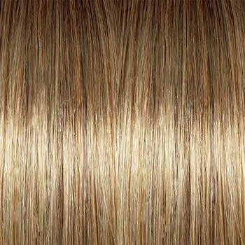 Blushing Beauty Wig by Gabor | Mono Top Extended Lace Front