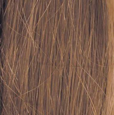 Bravo Wig by Raquel Welch | Human Hair (Lace Front Mono Top)