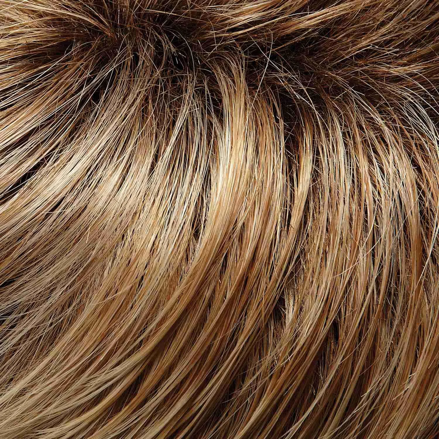 Cameron Large Wig by Jon Renau | Synthetic (Lace Front 100% Hand Tied Mono Top)