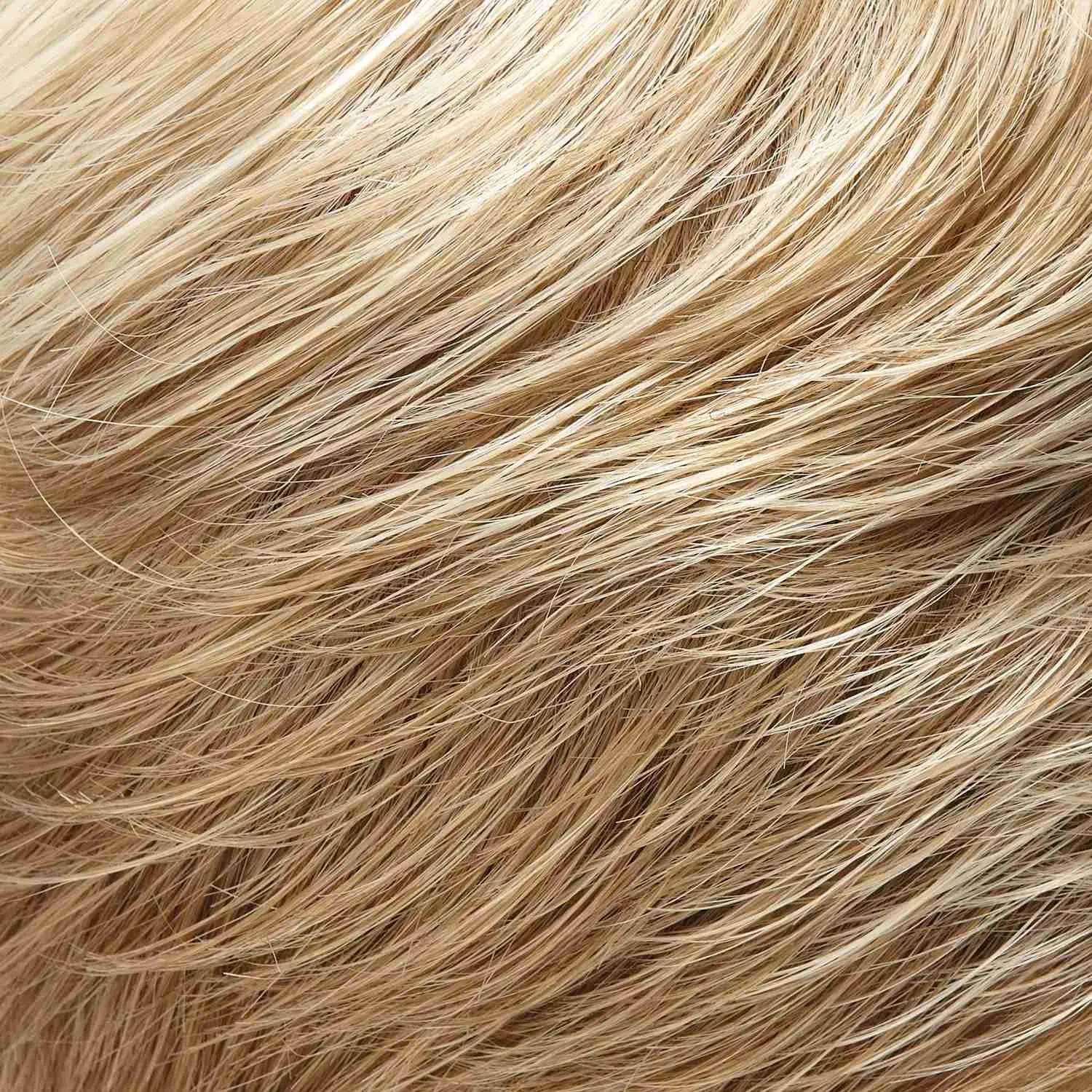 Cameron Large Wig by Jon Renau | Synthetic (Lace Front 100% Hand Tied Mono Top)