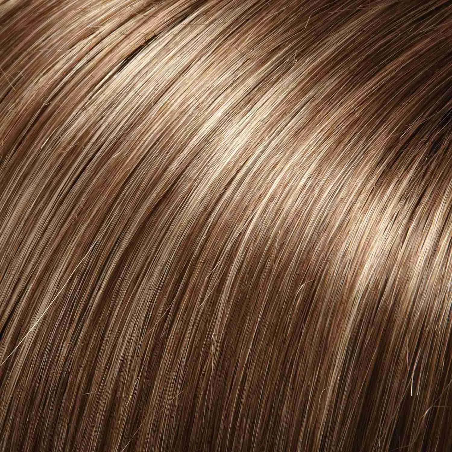 Cameron Large Wig by Jon Renau | Synthetic (Lace Front 100% Hand Tied Mono Top)