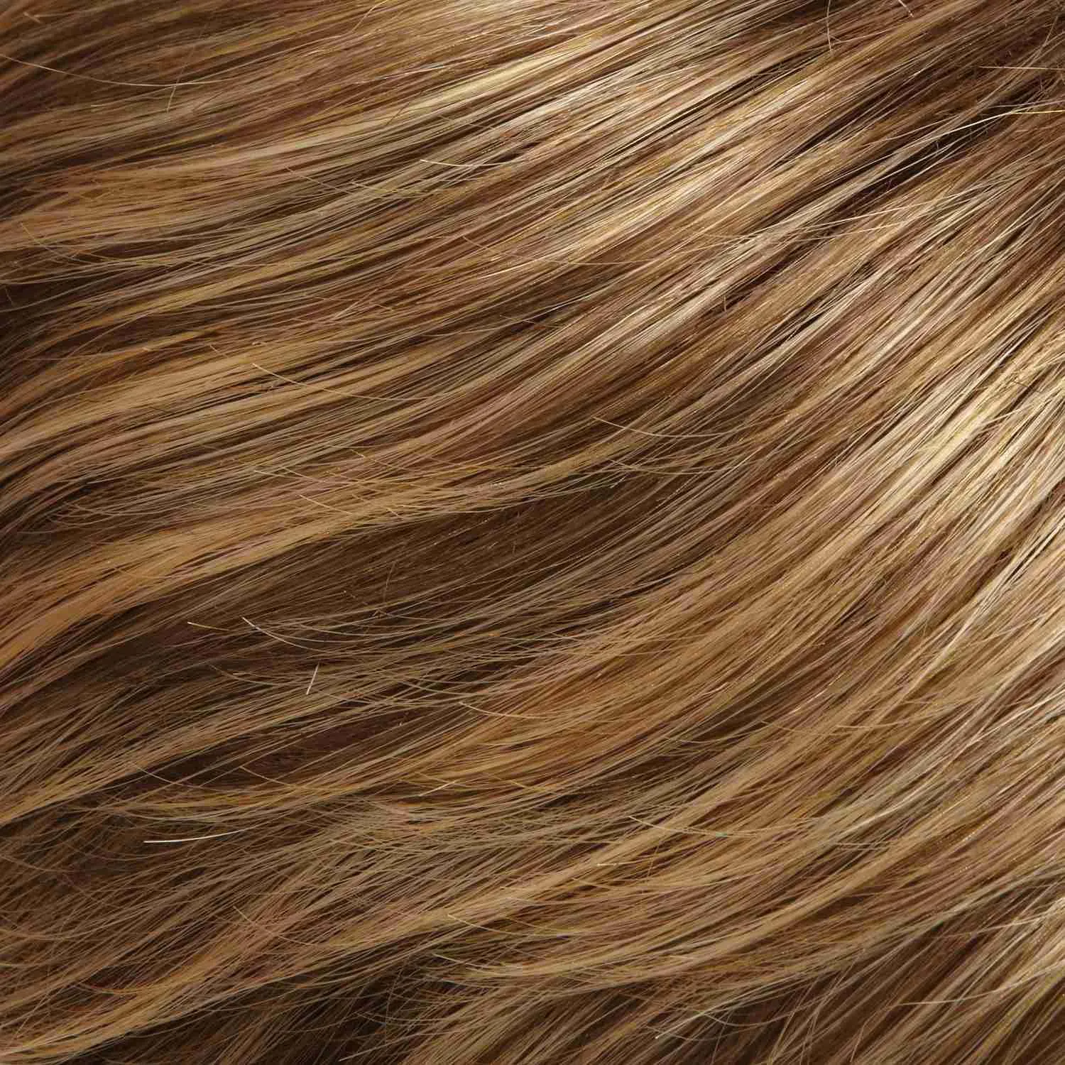 Cameron Large Wig by Jon Renau | Synthetic (Lace Front 100% Hand Tied Mono Top)