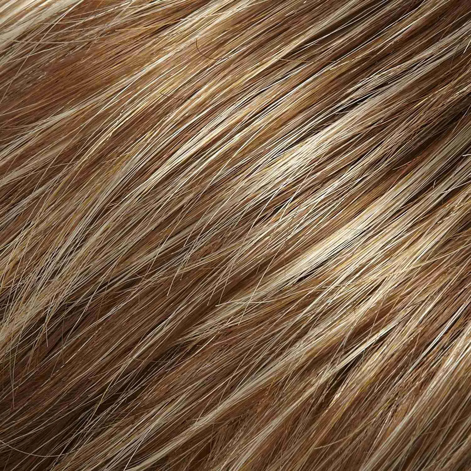Cameron Large Wig by Jon Renau | Synthetic (Lace Front 100% Hand Tied Mono Top)