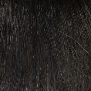 Carrisa Wig by Envy | Synthetic (Lace Front Mono Part)
