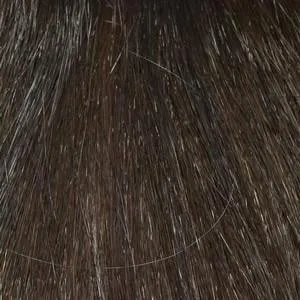 Carrisa Wig by Envy | Synthetic (Lace Front Mono Part)