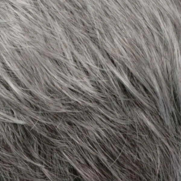Charlee Wig by Estetica Designs | Synthetic (Traditional Cap)
