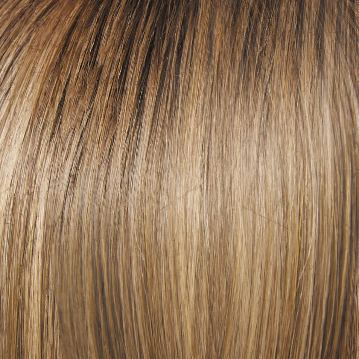 Day to Date Wig by Raquel Welch | Heat Resistant Synthetic Lace Front (Mono Part)