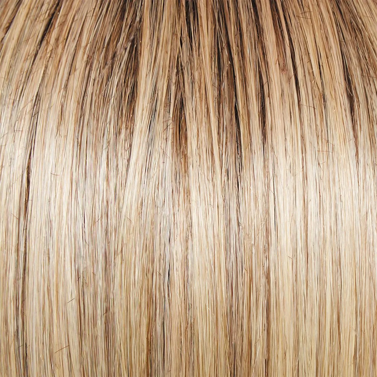Day to Date Wig by Raquel Welch | Heat Resistant Synthetic Lace Front (Mono Part)