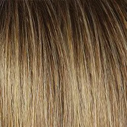 Day to Date Wig by Raquel Welch | Heat Resistant Synthetic Lace Front (Mono Part)