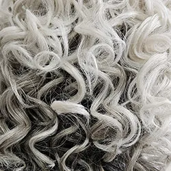 Director's Pick Wig by Raquel Welch | Heat Friendly Synthetic (Lace Front Mono)