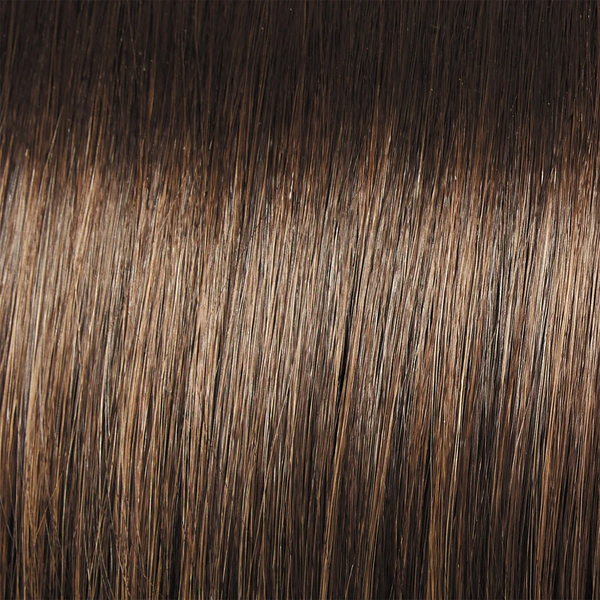 Director's Pick Wig by Raquel Welch | Heat Friendly Synthetic (Lace Front Mono)