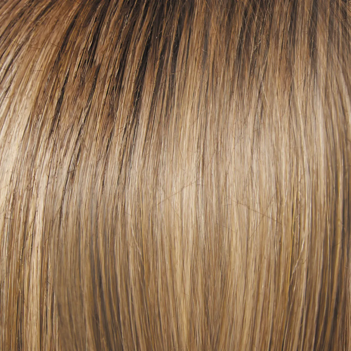 Director's Pick Wig by Raquel Welch | Heat Friendly Synthetic (Lace Front Mono)