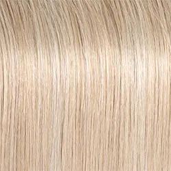 Director's Pick Wig by Raquel Welch | Heat Friendly Synthetic (Lace Front Mono)