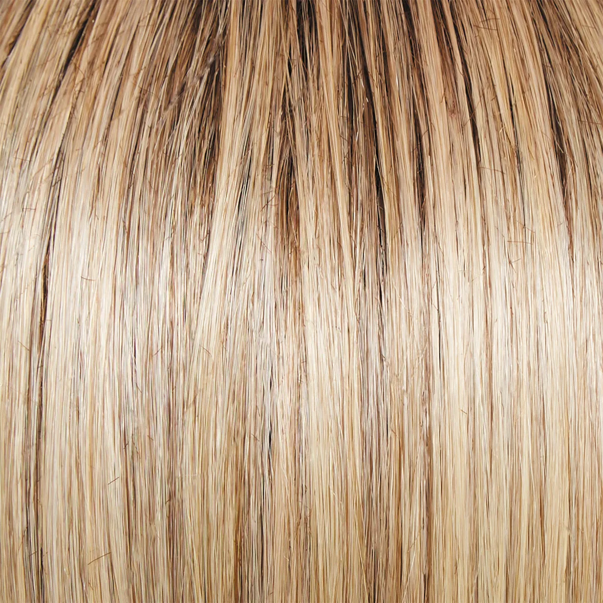 Director's Pick Wig by Raquel Welch | Heat Friendly Synthetic (Lace Front Mono)