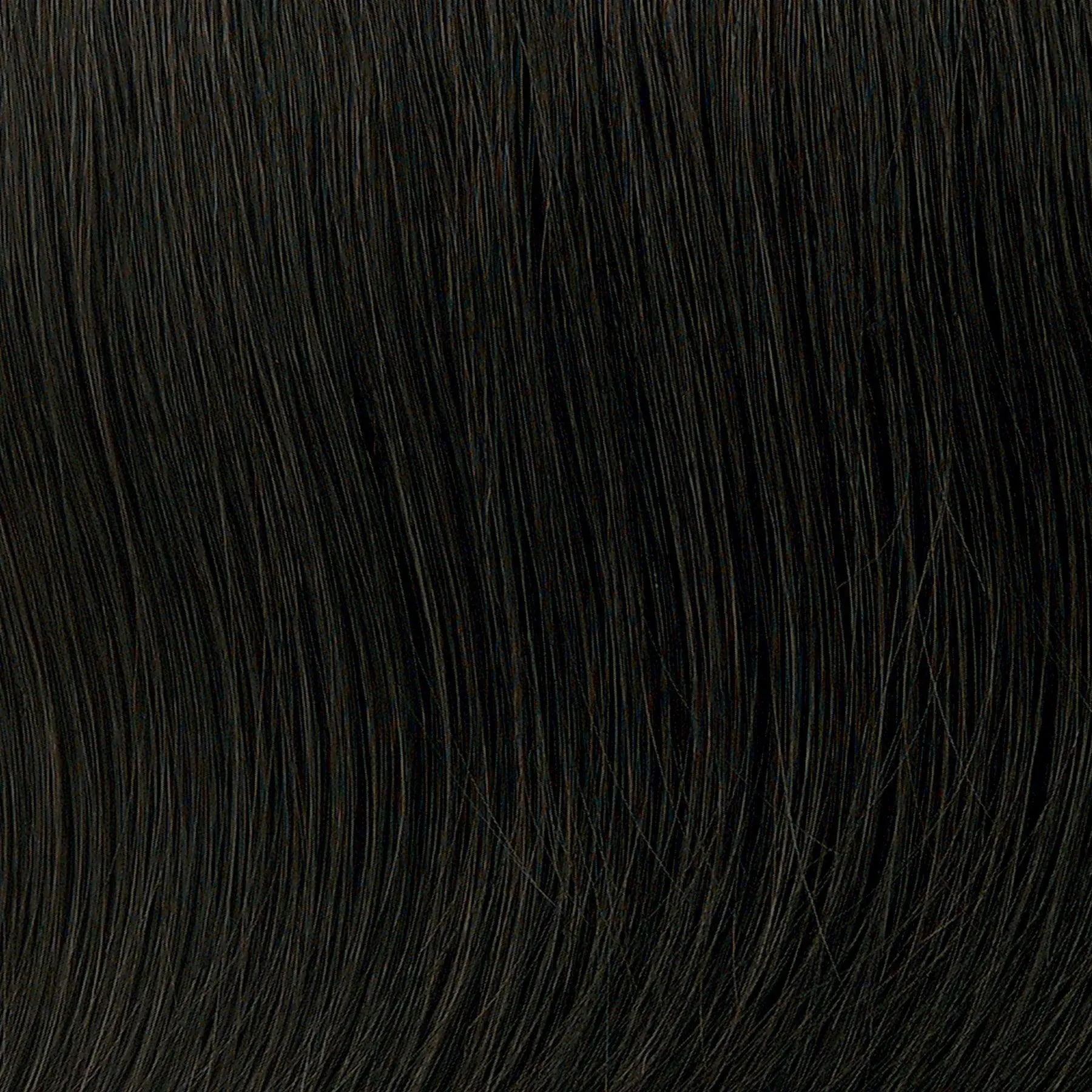 Enchanting Large Wig by Toni Brattin | Heat Friendly Synthetic (Basic Cap)