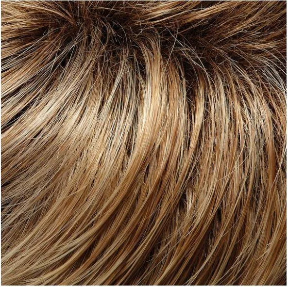 Gisele Wig by Jon Renau | Synthetic (Lace Front Mono Top) | Clearance Sale