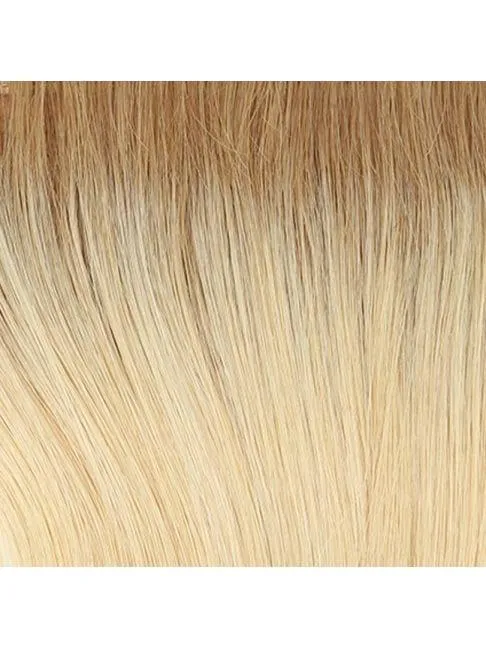 Glamour and More Wig by Raquel Welch | Lace Front (Mono)