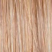 Goddess Wig by Raquel Welch | Heat Friendly Synthetic (Lace Front Mono Top)