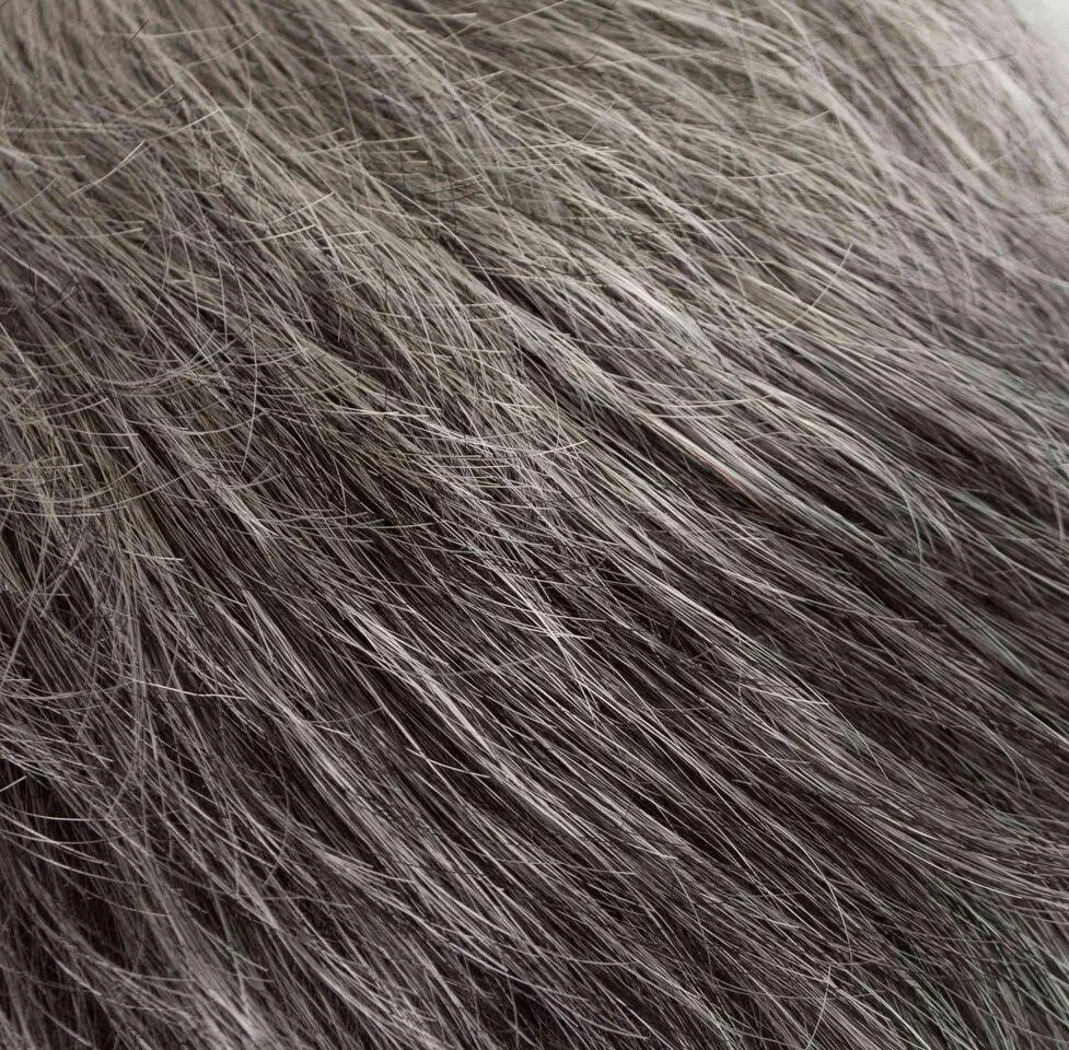 Jewel Wig by Tony of Beverly | Synthetic Wig (Traditional Cap)