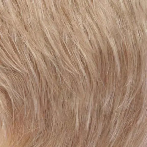 Locklan Wig by Estetica Designs | Synthetic (Lace Front Mono Top)