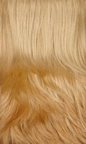 Lori Wig by Henry Margu | Synthetic (Lace Front Mono Top)
