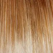 Make A Statement Wig by Gabor | Synthetic Lace Front (Mono Part)
