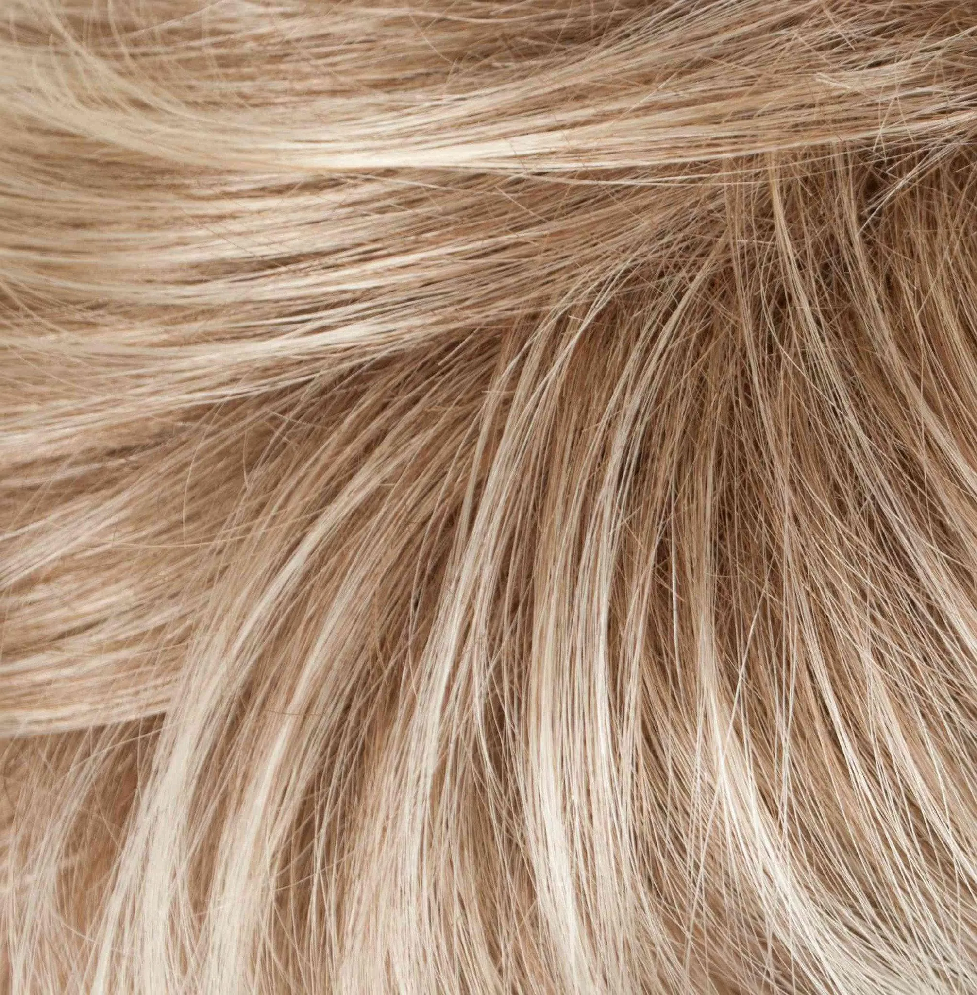 Mambo Wig by Tony of Beverly | Synthetic Wig (Lace Front Traditional Cap)
