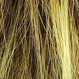 Miles of Style Wig by Raquel Welch | Synthetic (Lace Front Mono Part)
