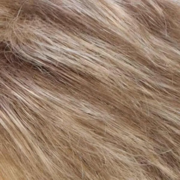 Petite Charm Wig by Estetica Designs | Synthetic (Traditional Cap)