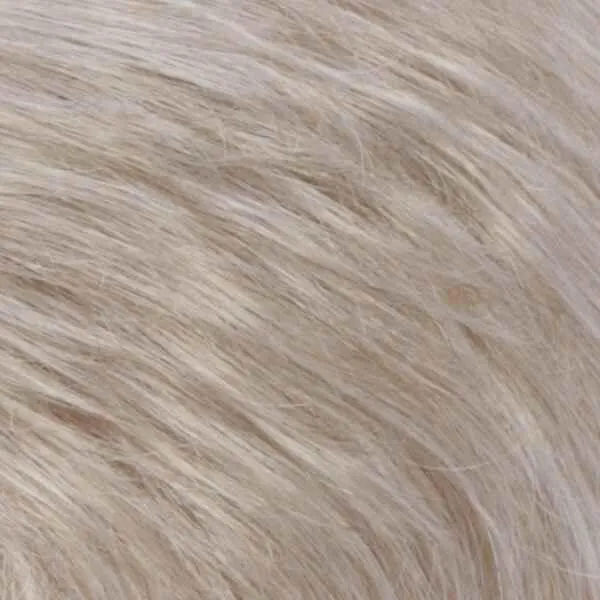 Petite Charm Wig by Estetica Designs | Synthetic (Traditional Cap)