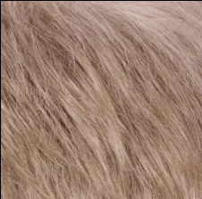 Petite Kate Wig by Estetica Designs | Synthetic (Traditional Cap)