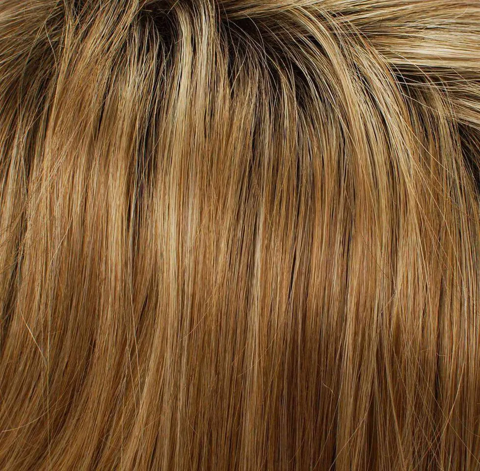 Portia Wig by Tony of Beverly | Synthetic Wig (Lace Front Mono Top)