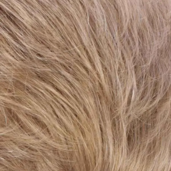 Renae Hairpiece by Estetica Designs | Synthetic (Traditional Cap)