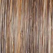 Selfie Mode Wig by Raquel Welch | Heat Friendly Synthetic (Monofilament)