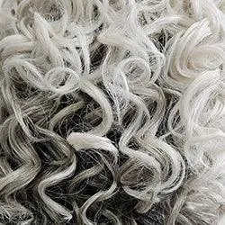 Selfie Mode Wig by Raquel Welch | Heat Friendly Synthetic (Monofilament)