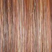 Selfie Mode Wig by Raquel Welch | Heat Friendly Synthetic (Monofilament)