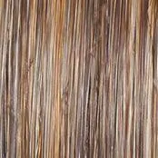 Simmer Elite Petite Wig by Raquel Welch | 100% Hand Tied Heat Friendly Synthetic Lace Front (Mono)