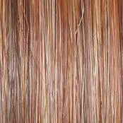 Simmer Elite Petite Wig by Raquel Welch | 100% Hand Tied Heat Friendly Synthetic Lace Front (Mono)